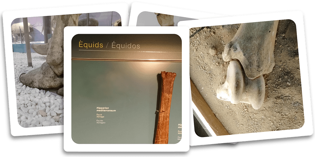 'La sección de Susa Buesa': ¿Un día tranquilo? 02.01 1 Susa Buesa, imagen para resolver el enigma